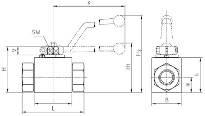 Рис.1. Схема шарового блочного крана BKH-G12 DN 13 PN500